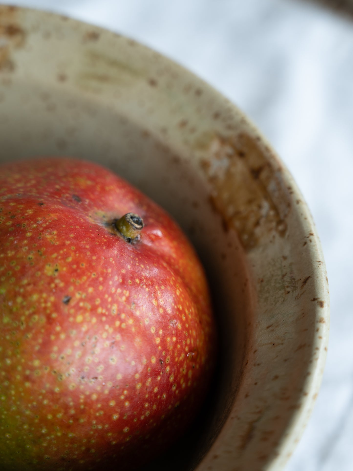 Big bowl Quiet Bloom